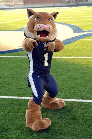 Behind the Costume: Life as the Montana State Bobcat Mascot Performer